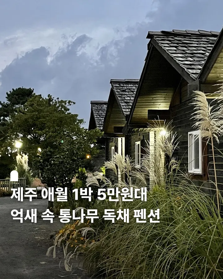 통나무파크 사진 1