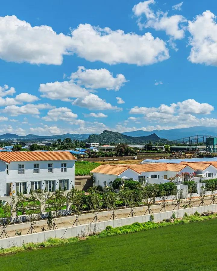 제주 오이트 독채펜션&풀빌라 사진 5