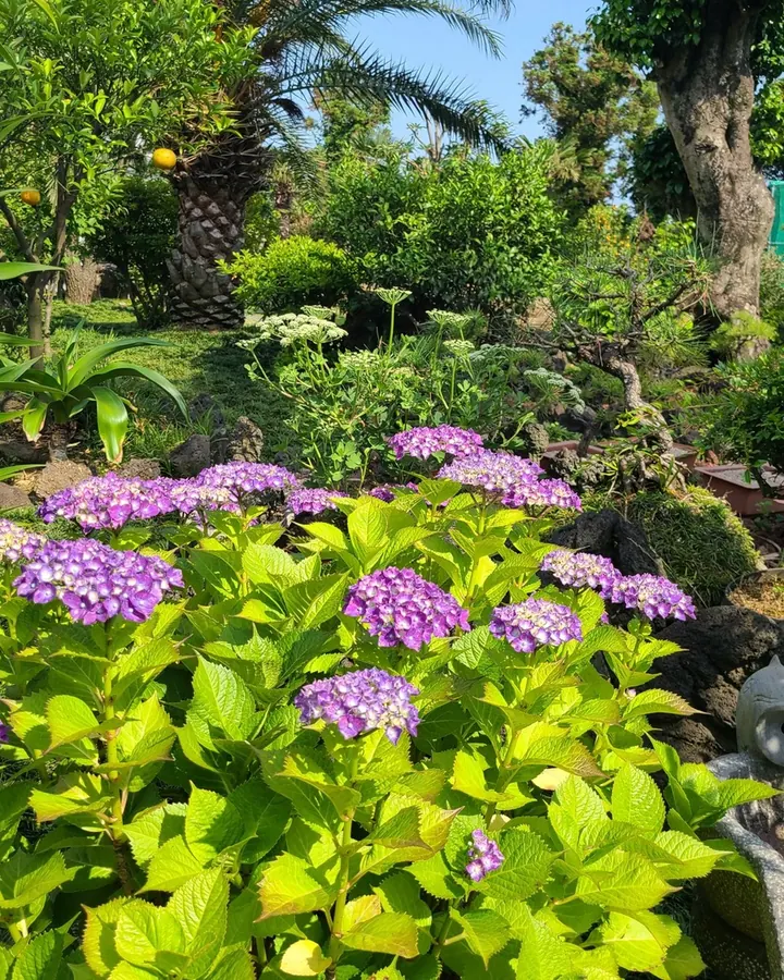 더썸펜션 사진 12