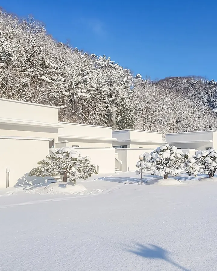 풀빌라델로 사진 9