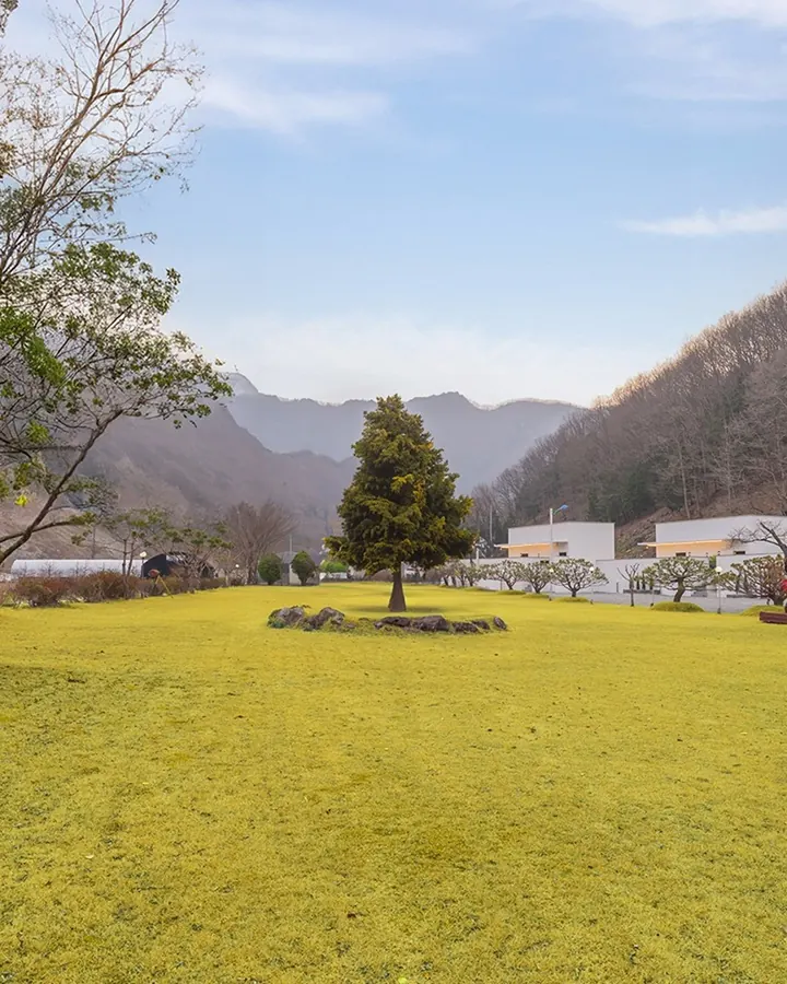 풀빌라델로 사진 11