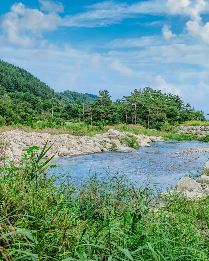 쉼 사진 6
