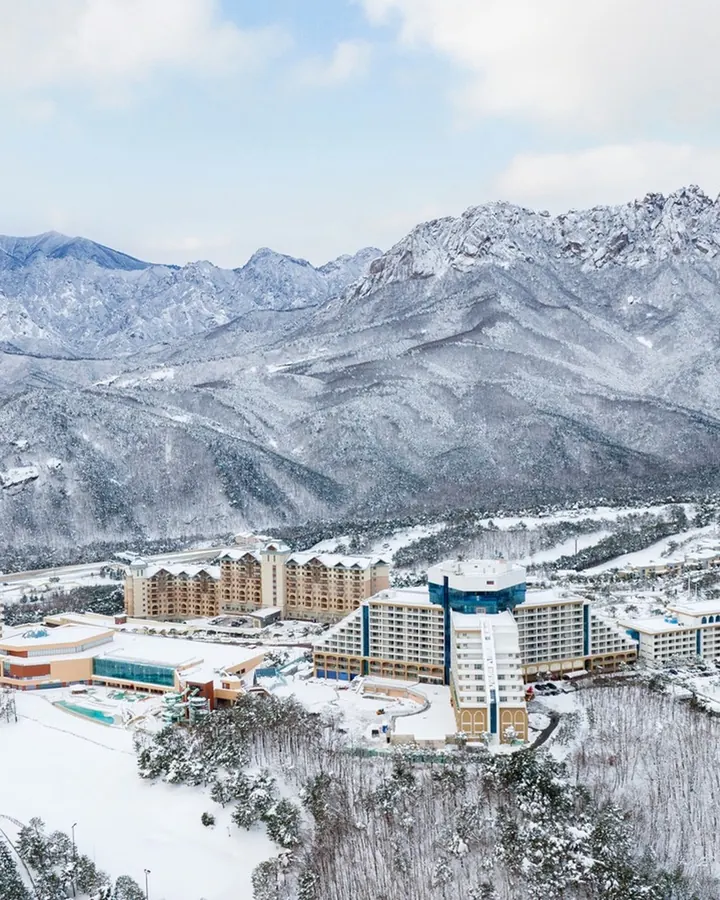 소노펠리체 델피노 사진 3